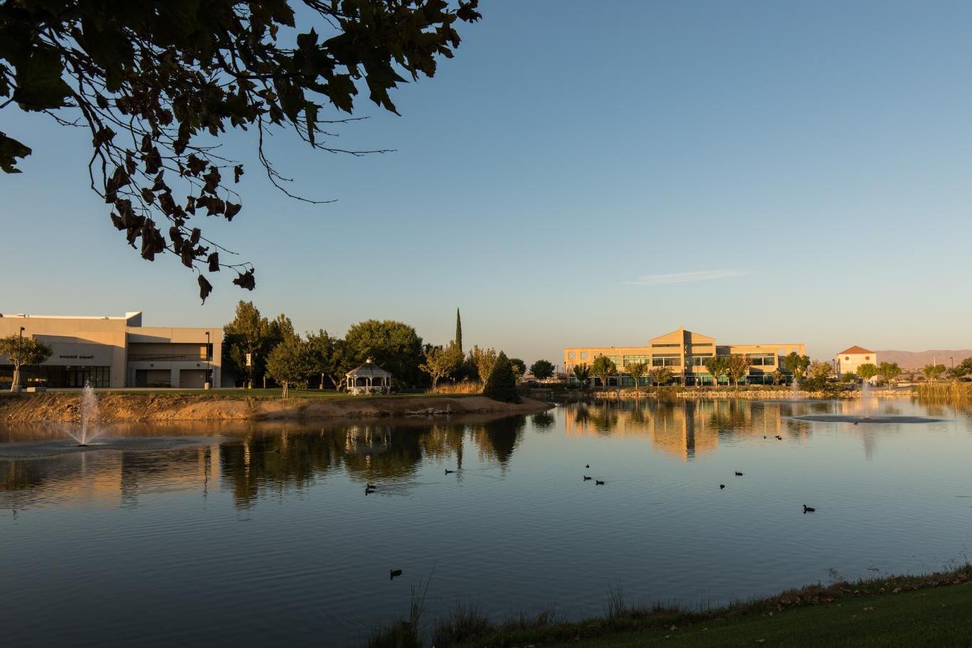 鸭子在湖中游泳，背景是VVC校园建筑